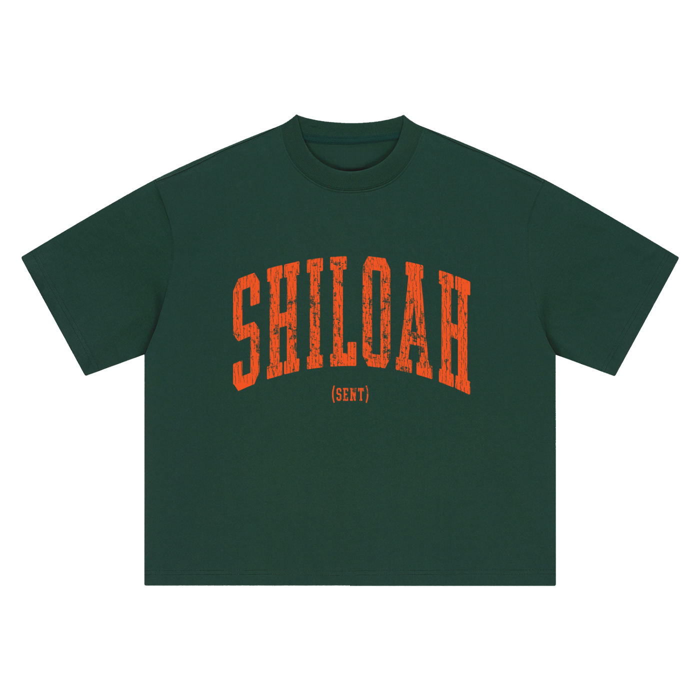 Shiloah Oversized Tee
