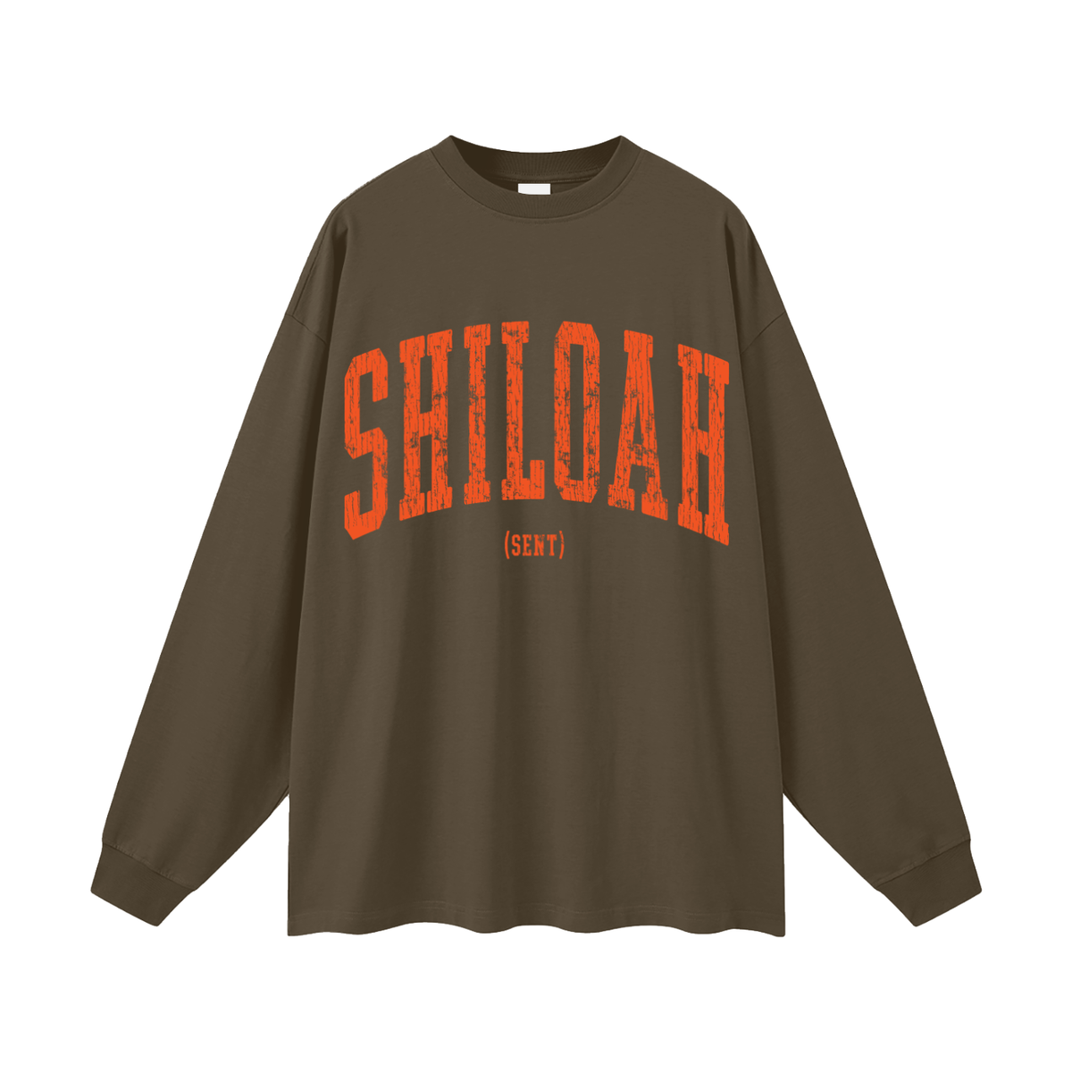 Shiloah Oversized Long Sleeve