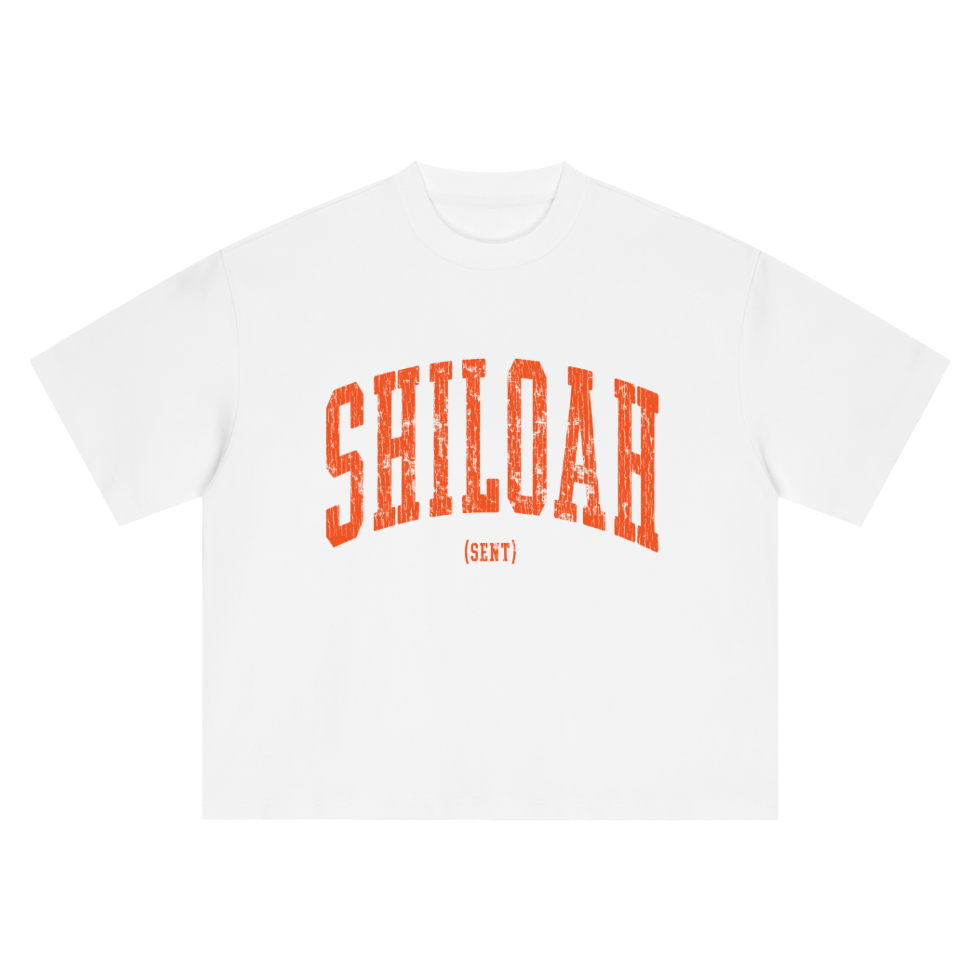 Shiloah Oversized Tee